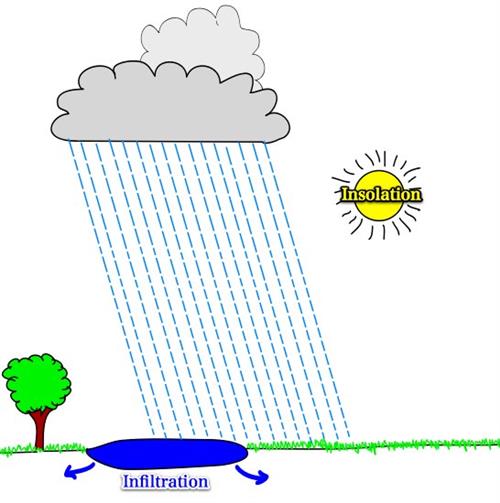 rain 