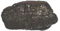 coal