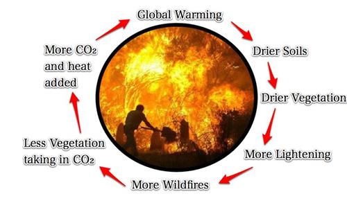 fires