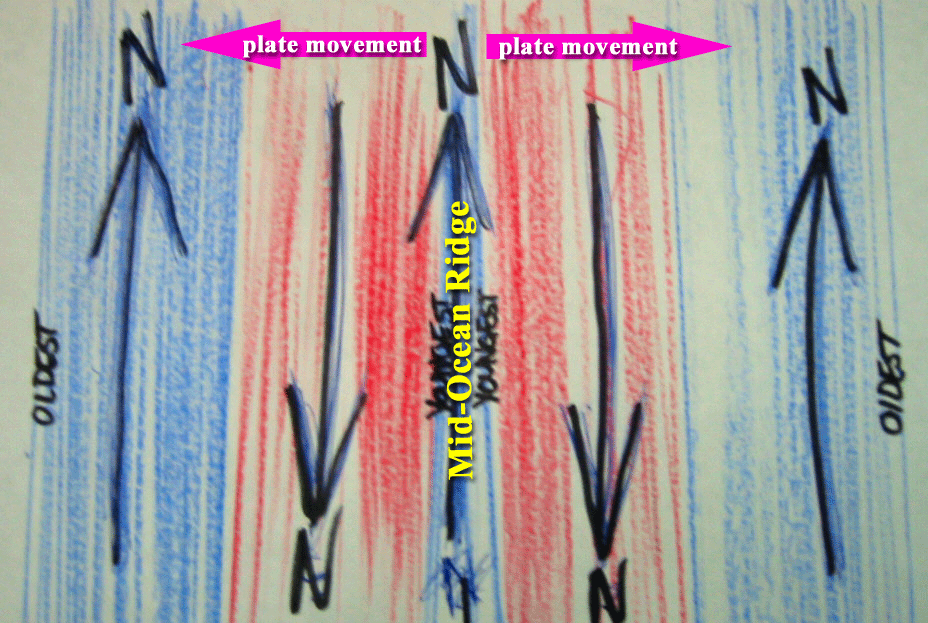 magstrips2