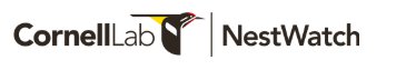 nestwatch