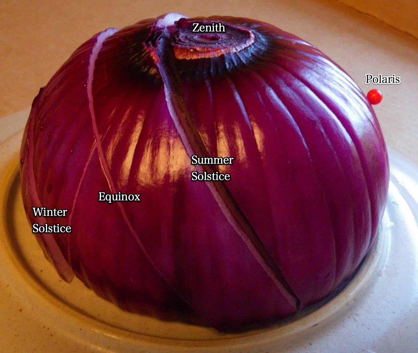 onion2