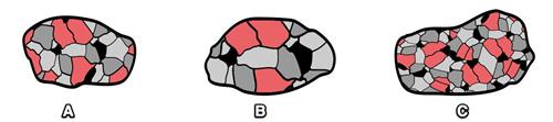 rocks