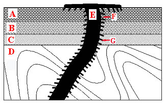 section