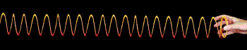 slinkyp