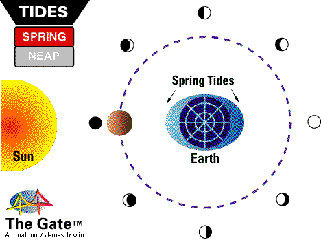 tides